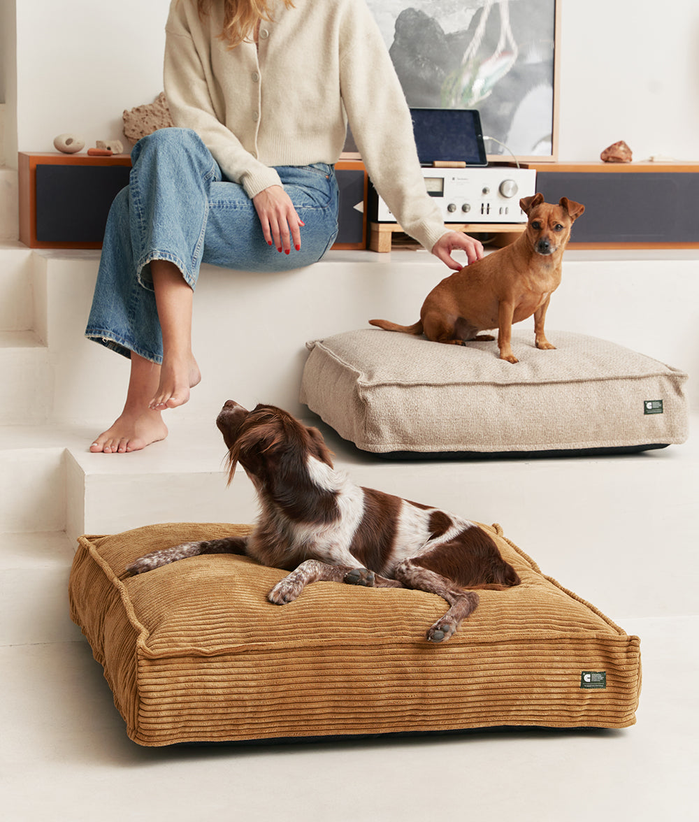 Cama Perro Beige Premium, Cuadra