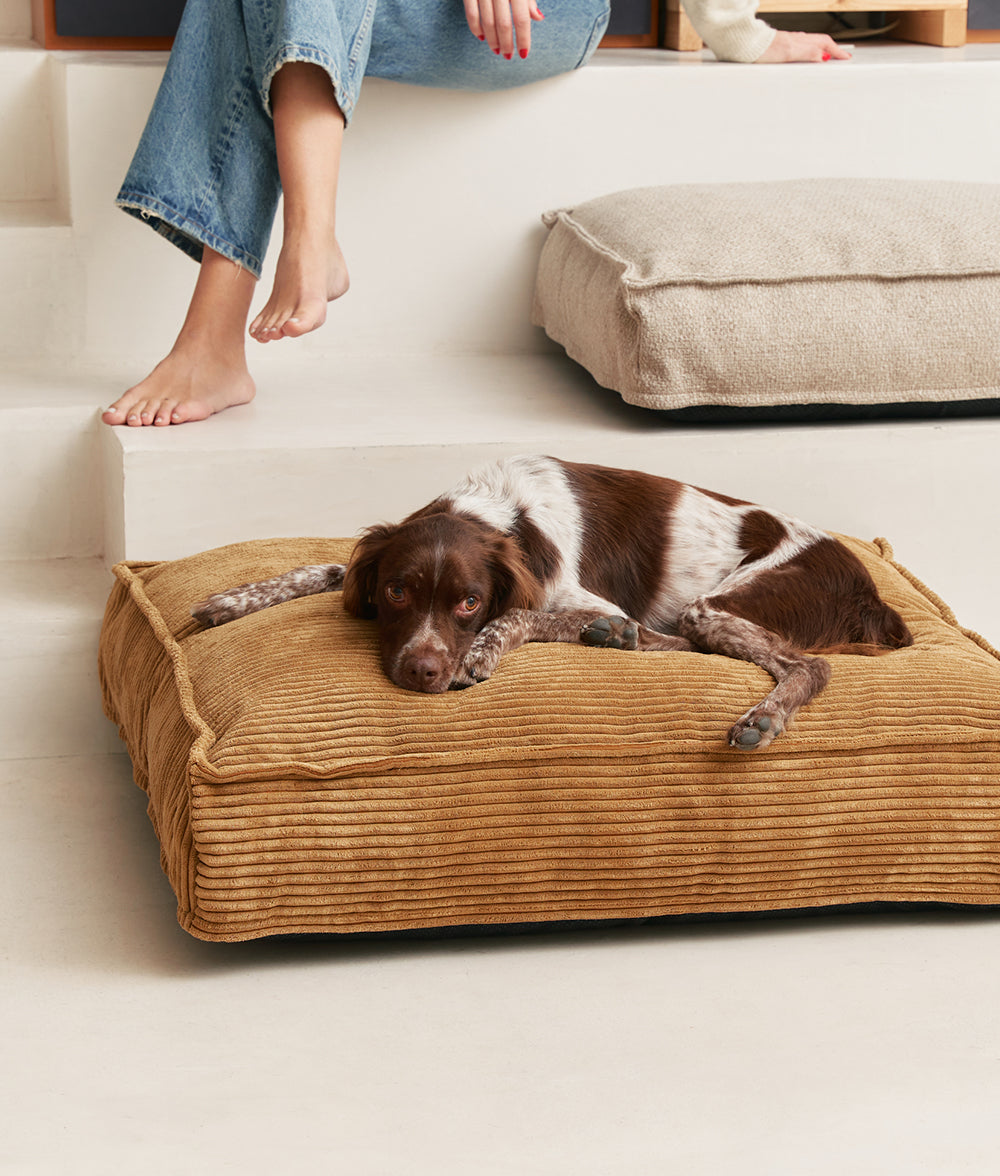 Cama Perro Beige Premium, Cuadra
